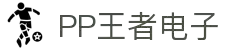 PP王者电子 最佳博彩软件